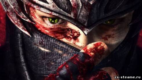 Ninja Gaiden 3 появится лишь в 2012